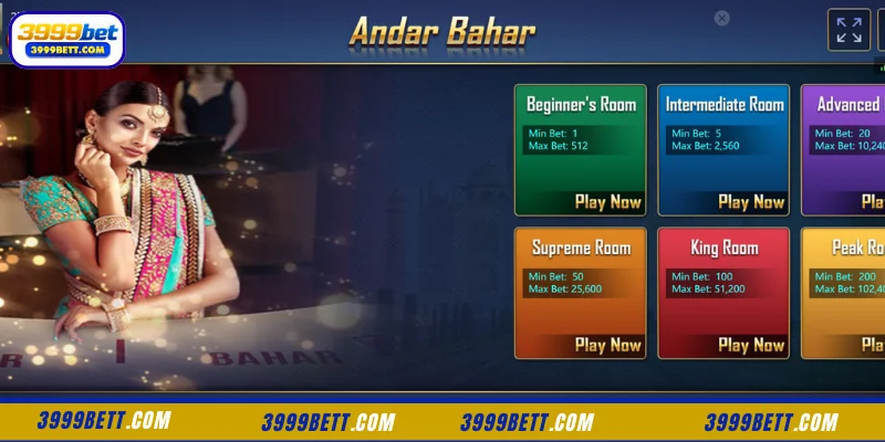 Exploring the Andar Bahar Card Game