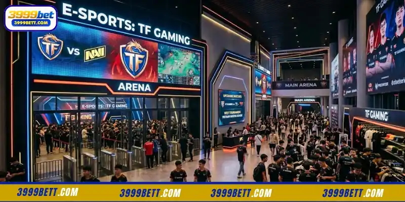 Key Features of TF Gaming