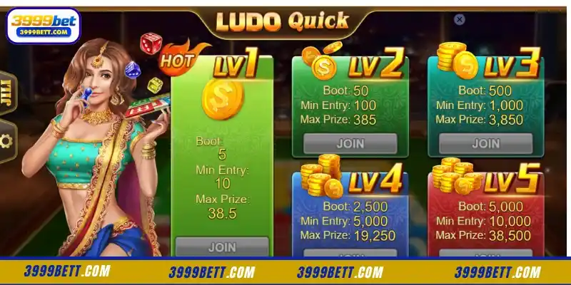 Understanding Ludo Quick